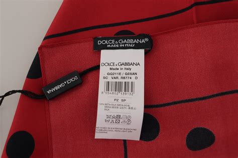 echarpe dolce gabbana femme|Écharpe en soie avec imprimé logo DG all.